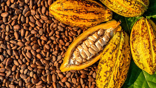 Taller de Cacao Colombiano: Del Origen a la Experiencia Sensorial